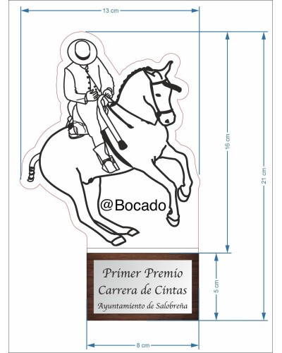 TROFEO ECUESTRE 1 Inicio