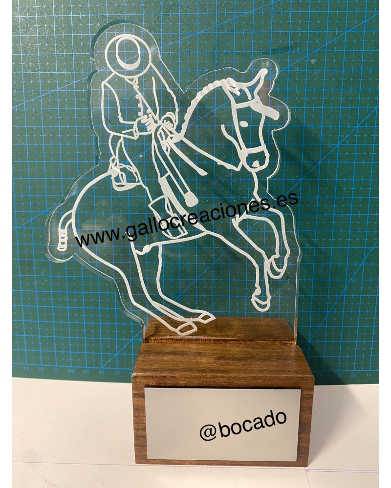 TROFEO ECUESTRE 1 Inicio