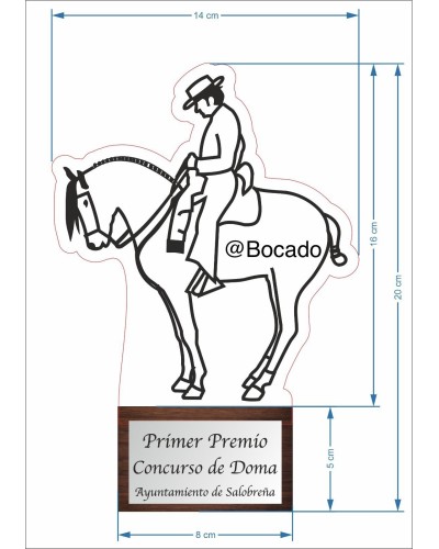 TROFEO ECUESTRE 2 Inicio