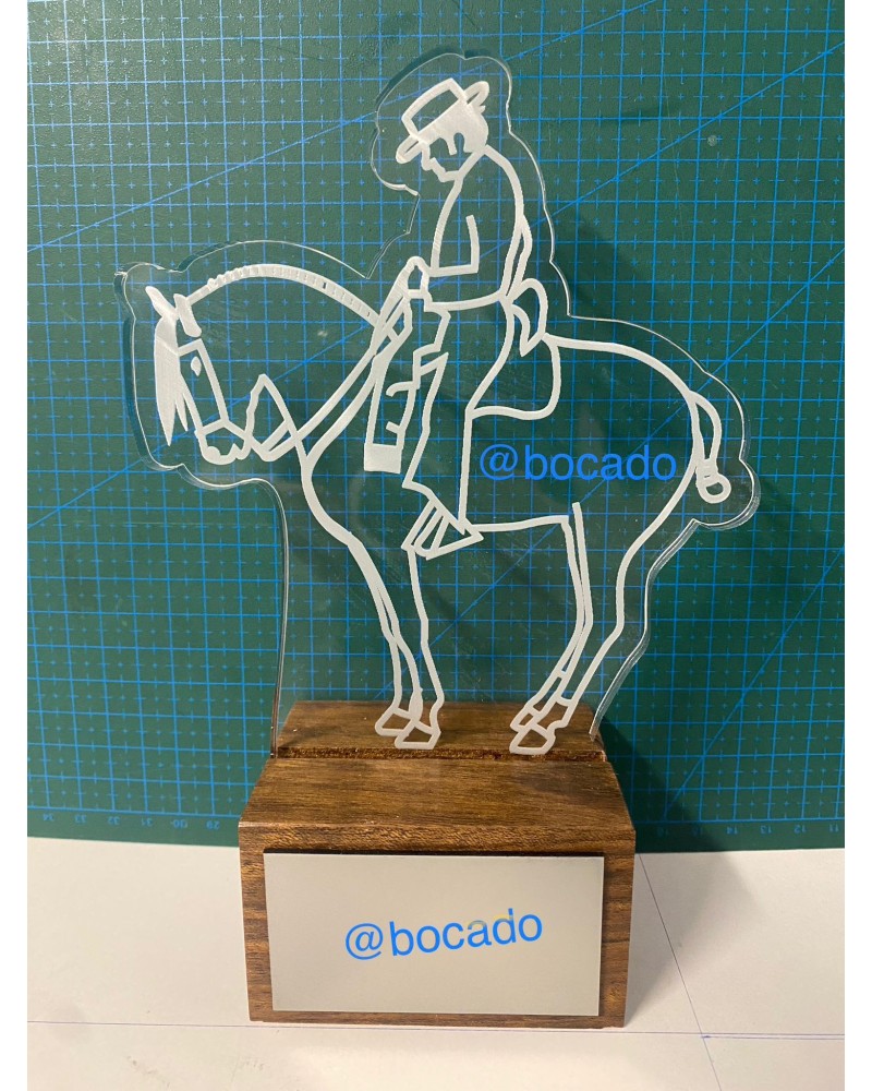 TROFEO ECUESTRE 2 Inicio