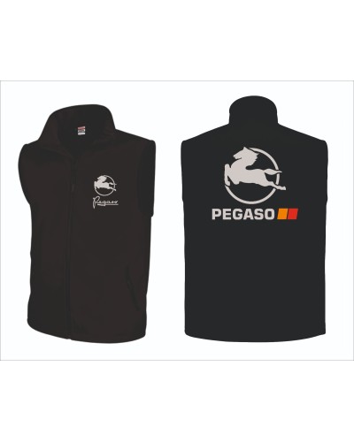 CHALECO PEGASO Inicio