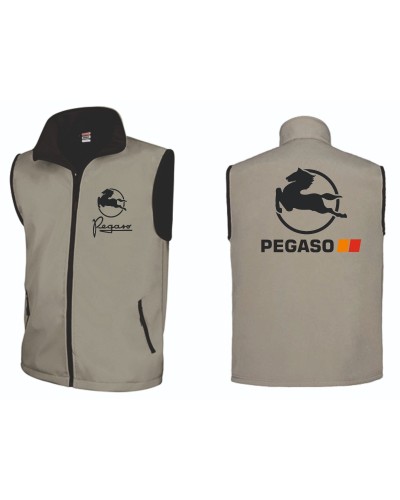 CHALECO PEGASO Inicio